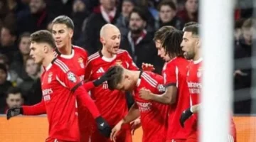 رقم قياسي جديد بنفيكا يتصدر أرباح انتقالات اللاعبين منذ الألفية