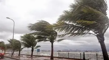 استمرار السحب الرعدية.. أمطار متباينة على الصحراء الغربية والإسكندرية والقاهرة