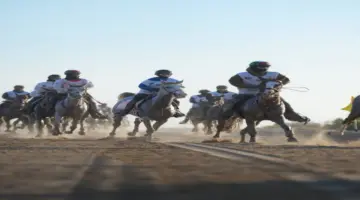 النسخة الـ 18 من «مهرجان ولي عهد دبي للقدرة» تُسجل انطلاق «كأس اليمامة للأفراس»