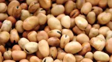 تراجع أسعار الفول والدقيق والزيت اليوم الأحد بالأسواق