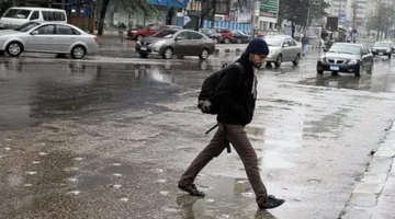 حالة الطقس تتحسن تدريجيًا في جميع المحافظات غدًا الجمعة