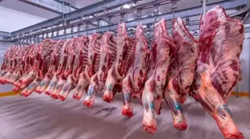صعود أسعار اللحوم والعدس والجبن اليوم الجمعة بالأسواق