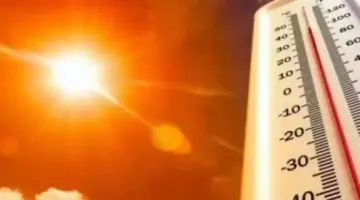 عاجل| ارتفاع الحرارة على الأنحاء كافة اليوم.. تبلغ 36 درجة في هذه المدن