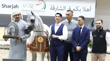 مهرجان الشارقة الدولي للجواد العربي يشهد تألق خيول مربط دبي