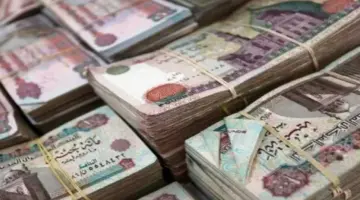 موعد صرف معاشات شهر أبريل بعد قرار مؤسسة التأمينات الاجتماعية الجديد