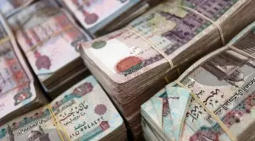 3 منح مالية تصرفها «التأمينات» للمرأة خارج المعاش الشهري.. تعرفي عليها