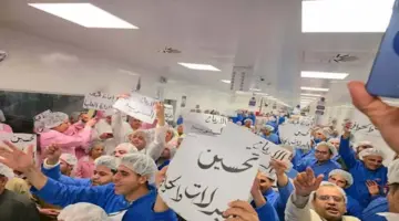 3000 عامل في “آمون للأدوية” يواصلون اعتصامهم لعزل الرئيس التنفيذي (صور)