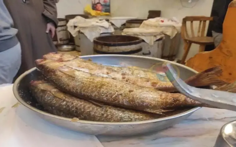 6 خطوات تمكنك من فحص الأسماك المملحة قبل شرائها حفاظاً على صحتك