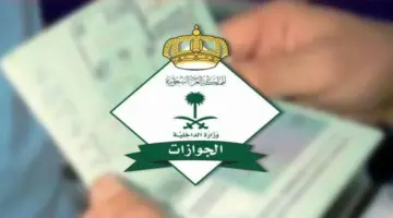 «الجوازات» تُصدر (15,784) قرارًا إداريًا بحق مخالفين لأنظمة الإقامة والعمل وأمن الحدود – أخبار السعودية