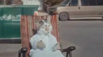 «تنظيم الإعلام»: استدعاء منتجي بودكاست «قطو الشوارع» وتجميد ترخيص الشركة المنتجة – أخبار السعودية