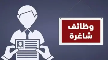 أبرزها «التسويق والهندسة».. إتاحة أكثر من 9 آلاف فرصة عمل جديدة | التفاصيل