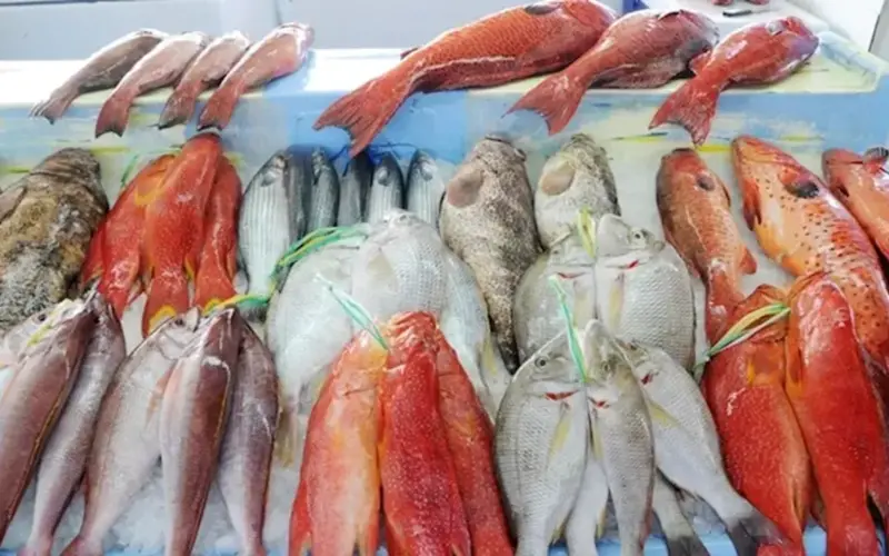 أسعار الأسماك والمأكولات البحرية اليوم في سوق العبور.. تراجع البلطي