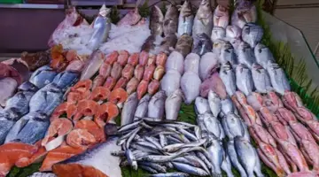 أسعار الأسماك والمأكولات البحرية اليوم في سوق العبور.. صعود الكابوريا