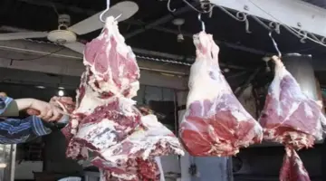 أسعار اللحوم في منافذ «الزراعة والتموين».. إقبال متزايد من المستهلكين