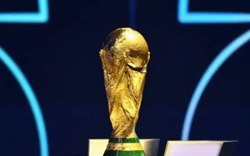 ألبوم ملصقات كأس العالم.. متعة الطفولة باهظة هذه المرة