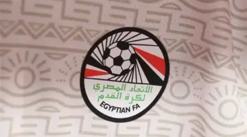 إيقاف طاقم تحكيم مصري لاستعماله هاتفاً محمولاً في مباراة