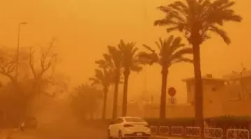 احذروا الخماسين.. عواصف ترابية تجتاح البلاد لمدة 5 أيام متواصلة بداية من الغد.