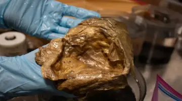 اكتشاف مذهل في قاع المحيط.. حل لغز “الكرة الذهبية”