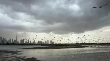 الإمارات.. فرصة لهطول أمطار غداً