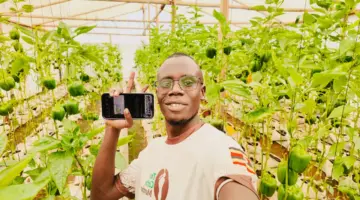 الدفع عبر الهاتف يبدل حياة المزارعين في أفريقيا