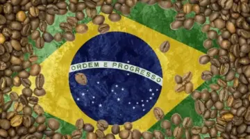 اندلاع حريق في المجمع الأولمبي بمدينة ريو دي جانيرو في البرازيل