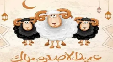 باقي كام يوم؟.. موعد أول أيام عيد الأضحى 2026 فلكيًا بهذا التاريخ