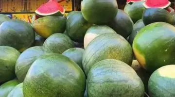 بعد بلوغه 250 جنيها.. شعبة الخضروات توضح أسباب ارتفاع أسعار البطيخ