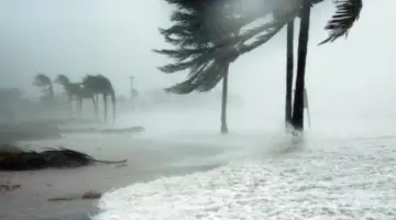 بين الشبورة والرياح.. تفاصيل حالة طقس الإسكندرية غدًا