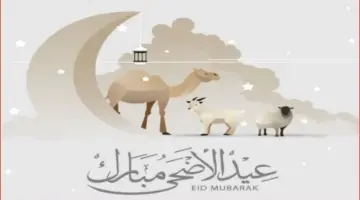 تاريخ وقفة عرفات 2026 وعيد الأضحى المبارك.. كم يوم إجازة رسمية؟