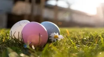 تبدأ بشم النسيم.. أجندة الإجازات الرسمية المتبقية في 2026