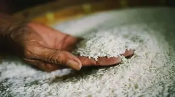 تخفيضات ملحوظة.. تعرف على سعر السكر والأرز والزيت اليوم في الأسواق والمنافذ الحكومية