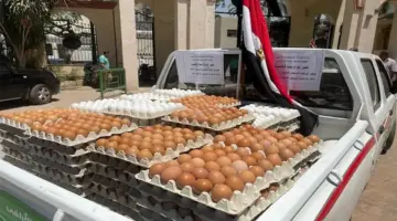 تراجع كبير في أسعار البيض بالأسواق.. والشعبة توضح الأسباب