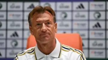 تفاصيل مفاوضات الأهلي مع رينارد .. والإدارة تتمسك بالجهاز الفني الحالي