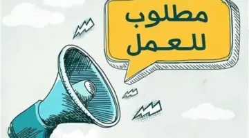 تلائم كل المؤهلات.. وظائف شاغرة برواتب تصل إلى 20 ألف جنيه وتأمينات