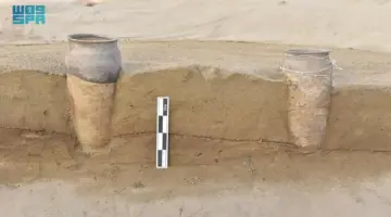 توسعات عمرانية ومسجد وأصداف تكشف تفاصيل حياة «السرين» قبل 1000 عام – أخبار السعودية