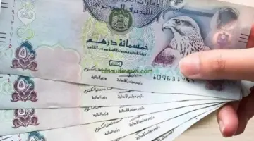 ثبات سعر الدرهم الإماراتي اليوم الأحد 5 أبريل 2026 في البنوك