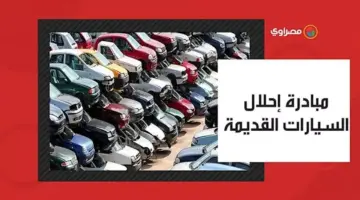 خبير يضع روشتة نجاح مبادرة استبدال السيارات الكهربائية بالبنزين القديمة
