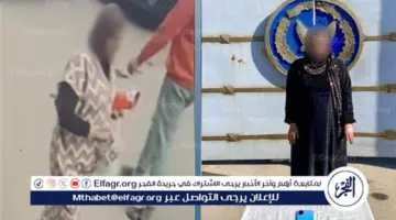 رصدتها كاميرات المراقبة.. ضبط سيدة سرقت هاتف طالبة ببني سويف