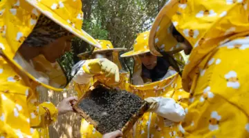 سجايا فتيات الشارقة تطلق برنامج مايو بورش نوعية لتطوير المهارات