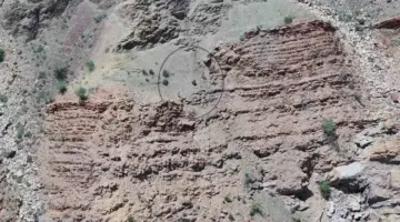 شرطة دبي تُغيث سائحتين أُصيبتا بالإرها