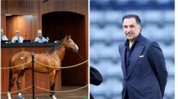 صحيفة المرصد – بمبلغ قياسي.. رجل أعمال سعودي يشتري “مهر” في مزاد خيول بأمريكا بأكثر من 10 ملايين دولار