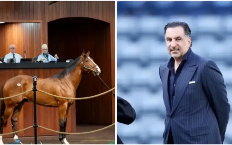 صحيفة المرصد – بمبلغ قياسي.. رجل أعمال سعودي يشتري “مهر” في مزاد خيول بأمريكا بأكثر من 10 ملايين دولار
