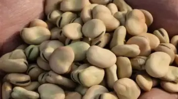 صعود أسعار الزيت واللحوم والجبن اليوم الجمعة بالأسواق