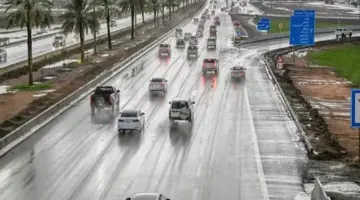 ضعف الرؤية وأمطار رعدية محتملة.. 9 نصائح لقيادة سيارتك بأمان لتفادي الحوادث
