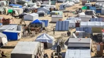 طائرة إماراتية محملة بـ100 طن مساعدات غذائية دعماً لغزة تصل إلى العريش