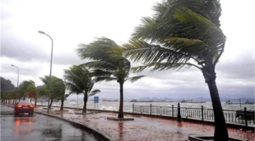 عاجل| حالة الطقس اليوم.. الأرصاد تُحذّر من أمطار ورياح تضرب تلك المناطق