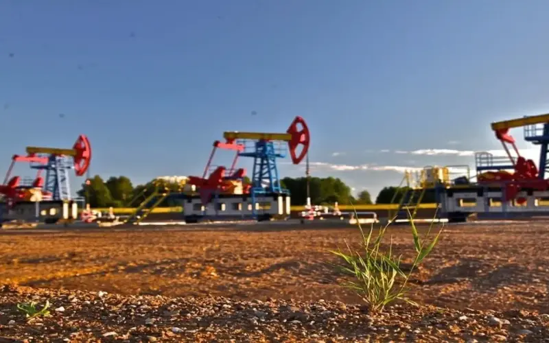 لماذا تعتبر منطقة الخليج غنية بالنفط والغاز؟