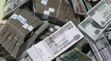 مصر تخفض توقعاتها لسعر العائد الحقيقي على الاستثمار في أذون وسندات الخزانة