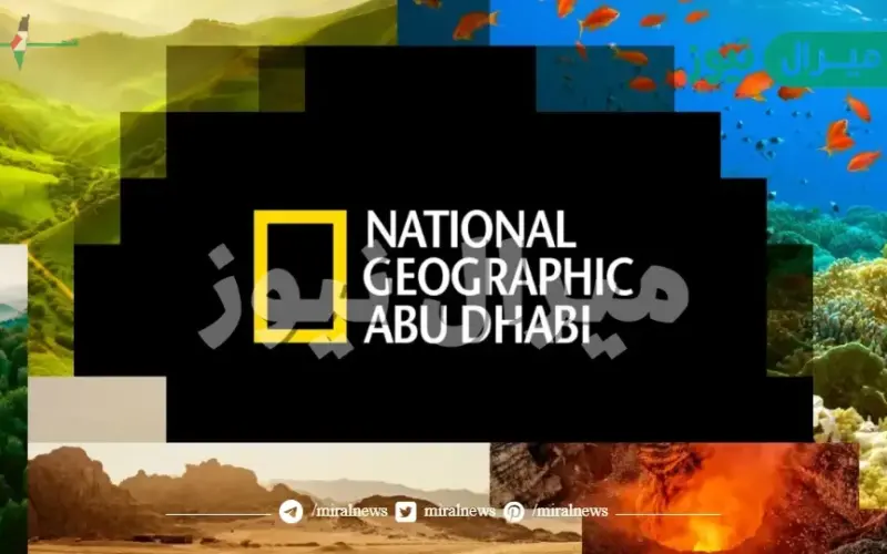 تردد قناة ناشيونال جيوغرافيك أبو ظبي لمتابعة استكشافات الحياة البرية وكنوزها الطبيعية