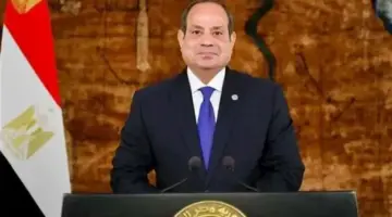 السيسي يوجه بتوسيع الشراكات الدولية في التعليم العالي